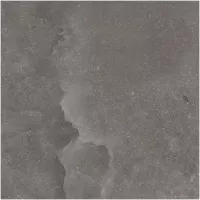 Gạch Monalisa FDS100263M 600x600