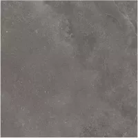Gạch Monalisa FDS100263M 600x600