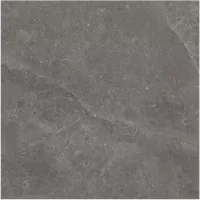 Gạch Monalisa FDS100263M 600x600
