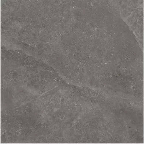 Gạch Monalisa FDS100263M 600x600