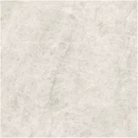 Gạch Monalisa FDS100267M 600x600