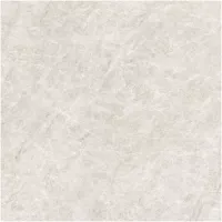 Gạch Monalisa FDS100267M 600x600