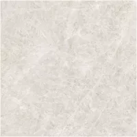 Gạch Monalisa FDS100267M 600x600
