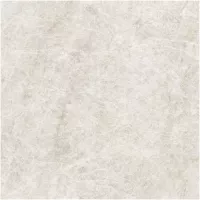 Gạch Monalisa FDS100267M 600x600