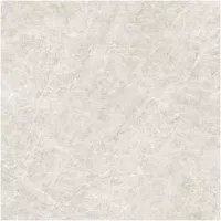 Gạch Monalisa FDS100267M 600x600