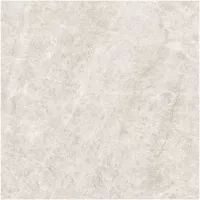 Gạch Monalisa FDS100267M 600x600