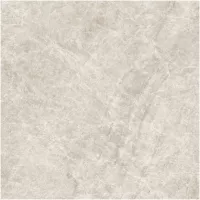 Gạch Monalisa FDS100268M 600x600