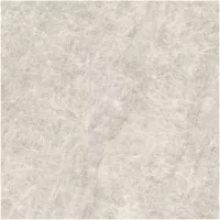 Gạch Monalisa FDS100268M 600x600