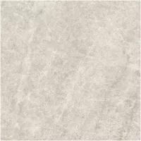 Gạch Monalisa FDS100268M 600x600