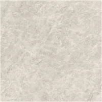 Gạch Monalisa FDS100268M 600x600