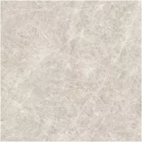 Gạch Monalisa FDS100268M 600x600