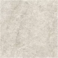 Gạch Monalisa FDS100268M 600x600