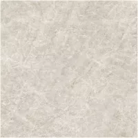 Gạch Monalisa FDS100268M 600x600