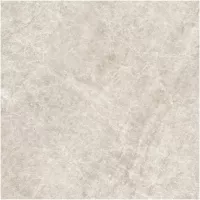 Gạch Monalisa FDS100268M 600x600