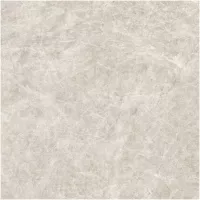 Gạch Monalisa FDS100268M 600x600