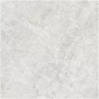 Gạch Monalisa FDS100269M 600x600