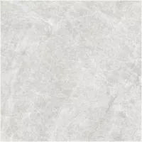 Gạch Monalisa FDS100269M 600x600