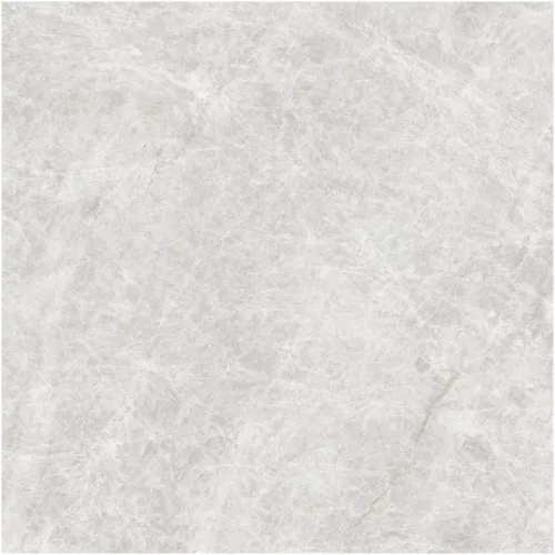 Gạch Monalisa FDS100269M 600x600
