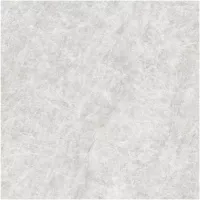 Gạch Monalisa FDS100269M 600x600