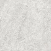 Gạch Monalisa FDS100269M 600x600