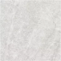 Gạch Monalisa FDS100269M 600x600