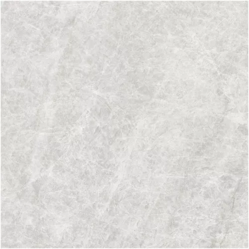 Gạch Monalisa FDS100269M 600x600