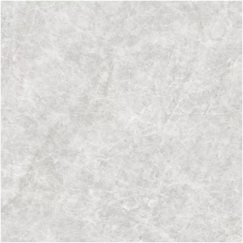 Gạch Monalisa FDS100269M 600x600
