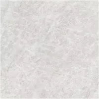 Gạch Monalisa FDS100269M 600x600