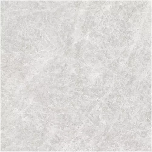 Gạch Monalisa FDS100269M 600x600