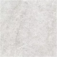 Gạch Monalisa FDS100269M 600x600