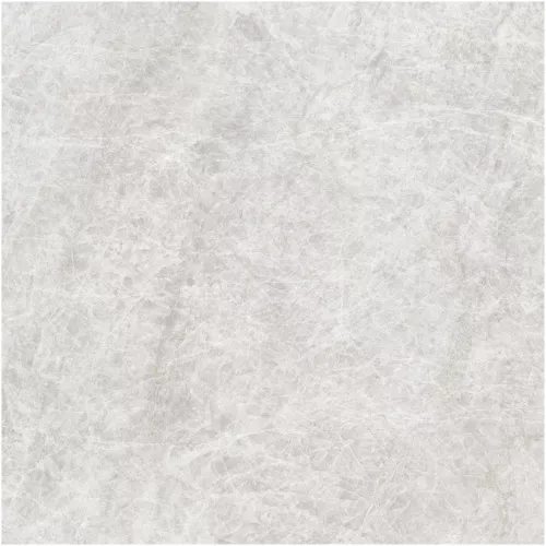 Gạch Monalisa FDS100269M 600x600