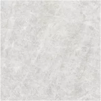 Gạch Monalisa FDS100269M 600x600