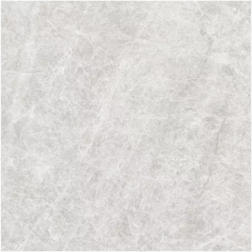Gạch Monalisa FDS100269M 600x600