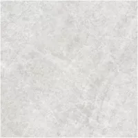 Gạch Monalisa FDS100269M 600x600