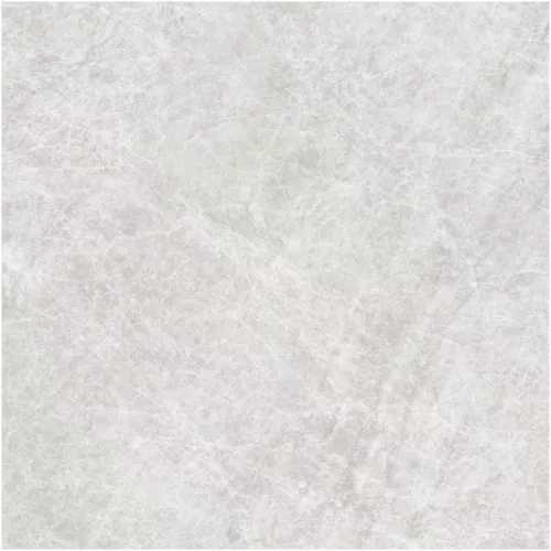 Gạch Monalisa FDS100269M 600x600