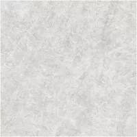 Gạch Monalisa FDS100269M 600x600