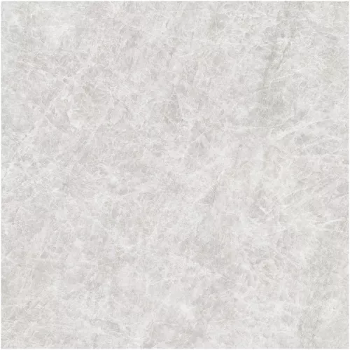 Gạch Monalisa FDS100269M 600x600