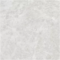 Gạch Monalisa FDS100269M 600x600