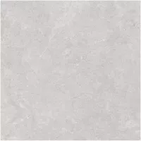 Gạch Monalisa FDS100363M 600x600