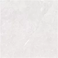 Gạch Monalisa FDS100365M 600x600