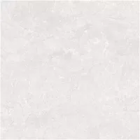 Gạch Monalisa FDS100365M 600x600