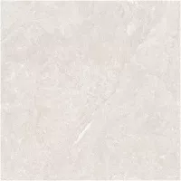 Gạch Monalisa FDS100366M 600x600