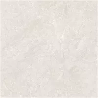 Gạch Monalisa FDS100366M 600x600