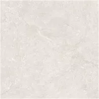 Gạch Monalisa FDS100366M 600x600