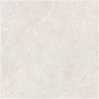 Gạch Monalisa FDS100366M 600x600