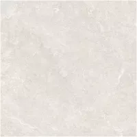 Gạch Monalisa FDS100366M 600x600