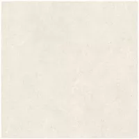Gạch Monalisa FDS100376M 600x600