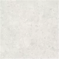 Gạch Monalisa FDS100390M 600x600