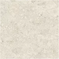 Gạch Monalisa FDS100392M 600x600