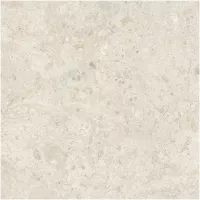 Gạch Monalisa FDS100392M 600x600